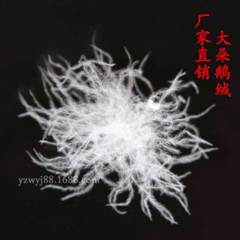 湖北羽绒加工：打造温暖的产业新篇章