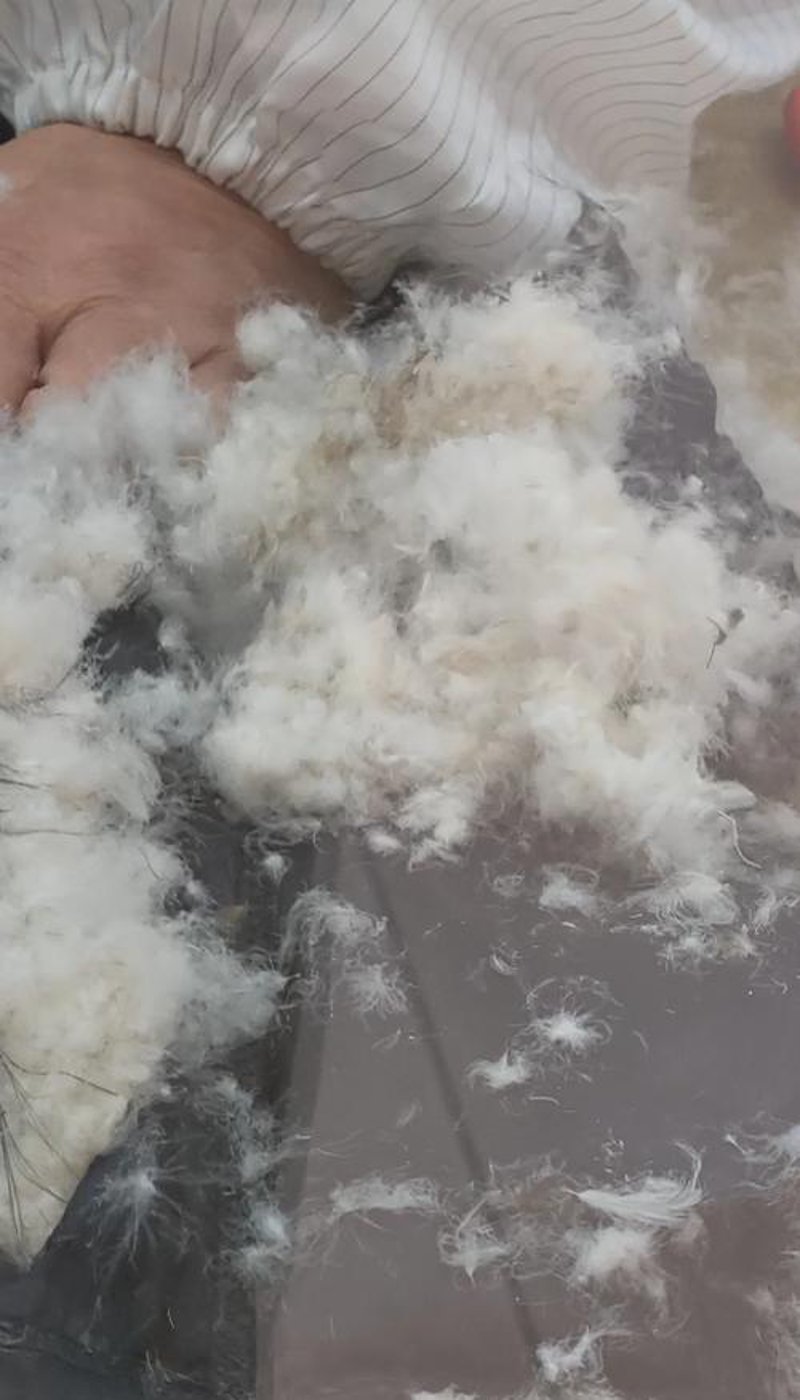 在寒冷的冬季，一件好的羽绒被能给家人带来温暖，而羽绒被加工则是一项重要的工艺。今天我们就来聊聊如何选择优质的羽绒被加工厂。